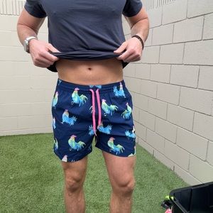 Chubbies swim trunks